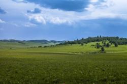 赤峰奔騰油漆廠電話號碼查詢