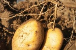 赤峰烏敦套海蒙餐館電話(huà)號(hào)碼