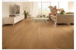 赤峰世友地板經(jīng)銷商電話號(hào)碼