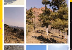 赤峰光聲顯微鏡公司電話號碼