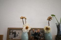 赤峰壁布加盟電話號(hào)碼查詢是多少