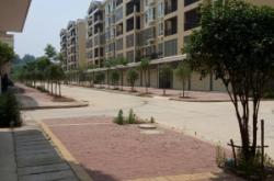 赤峰雙橋社區(qū)居委會(huì)電話號(hào)碼