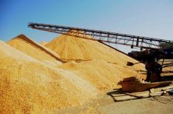 赤峰陳糧批發(fā)電話(huà)地址查詢(xún)號(hào)碼