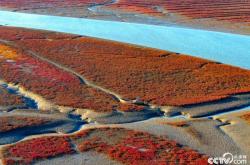 赤峰海瀾香會(huì)所電話號(hào)碼查詢