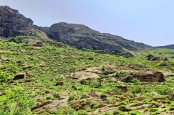 赤峰北洼子場站電話號碼查詢