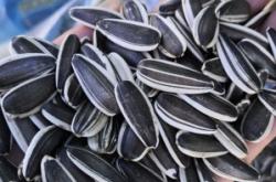 赤峰開(kāi)魯大種子公司電話號(hào)碼