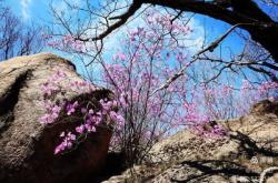 赤峰寧城縣中公教育電話號(hào)碼