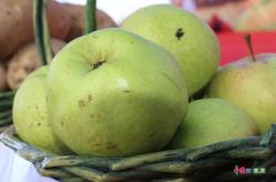 赤峰收死羊羔電話地址是多少號