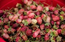 赤峰山貨交易中心電話號(hào)碼查詢