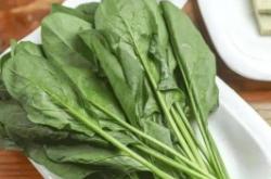 赤峰自家大鵝訂餐電話號(hào)碼查詢