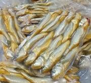 赤峰大黃花魚批發(fā)電話號碼