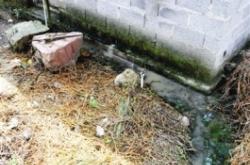 赤峰雙山子養(yǎng)豬場電話號碼