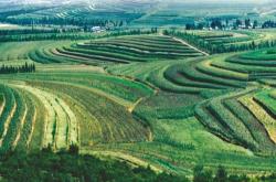 赤峰市敖漢旗獸醫(yī)站電話號(hào)碼