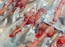 赤峰鹿肉批發(fā)商聯(lián)系電話(huà)