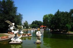 赤峰植物園網(wǎng)吧電話號(hào)碼多少