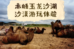 赤峰名爵會所電話號碼多少號