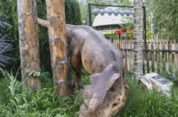 赤峰海爾貝游樂場地址電話號碼