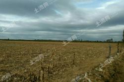 赤峰蘿卜分瓣機(jī)廠家電話(huà)號(hào)碼