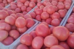 赤峰紅波鞋店電話號碼多少號