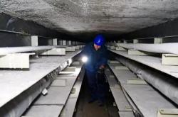 赤峰招挖電纜溝工人電話號(hào)碼