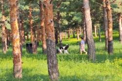 赤峰植物動(dòng)物園電話號(hào)碼查詢