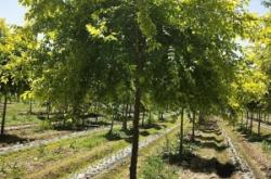 赤峰花果山糖果基地電話號碼