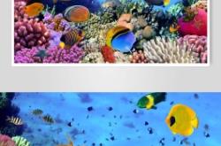 赤峰熱帶魚館電話號(hào)碼多少