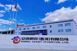 赤峰安琪母液專賣店電話號碼