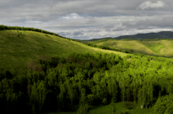 內(nèi)蒙赤峰市康養(yǎng)中心電話號(hào)碼