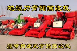 赤峰青儲玉米回收電話號碼是多少