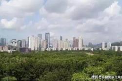 赤峰清心小筑物業(yè)電話(huà)是多少號(hào)