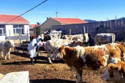 赤峰林西縣家政服務(wù)電話號(hào)碼