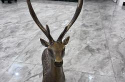 赤峰辦公室擺件廠家電話號碼