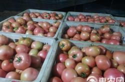 赤峰鉛鋅精粉批發(fā)電話號碼