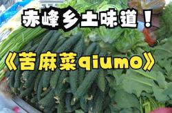 赤峰烤肉榴蓮自助餐廳電話號碼