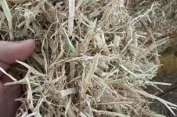 赤峰牛羊草料供應商電話號碼