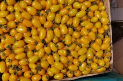 赤峰水果加工廠家電話號碼