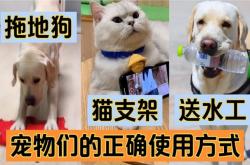 赤峰送水貓銷售部電話號碼