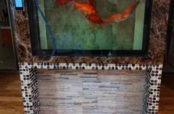 赤峰魚缸網(wǎng)購組裝管件電話號碼