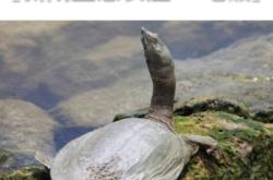 赤峰農(nóng)家飯館電話(huà)號(hào)碼查詢(xún)是多少