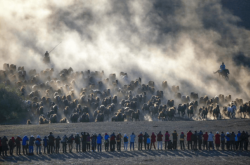 赤峰工字鋼公司電話多少號