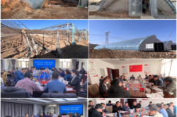 赤峰蔬菜苗批發(fā)市場(chǎng)電話號(hào)碼