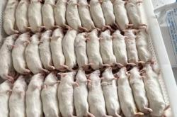 赤峰市飼料廠出售電話號(hào)碼