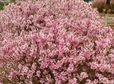 赤峰盛記照相館地址電話號碼