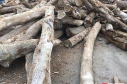 赤峰森源木材廠電話多少號