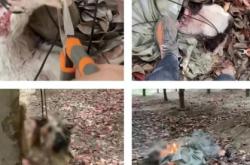 赤峰小猴子辣條電話號(hào)碼查詢