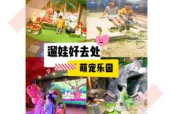 赤峰萌寵寵物樂(lè)園電話多少號(hào)