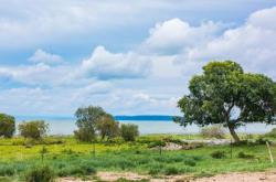 赤峰中京冰泉送水電話號(hào)碼