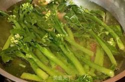 赤峰白芍生菜種植基地電話號(hào)碼