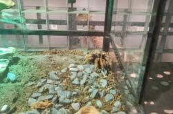 赤峰卡丁車海達(dá)店電話號(hào)碼查詢